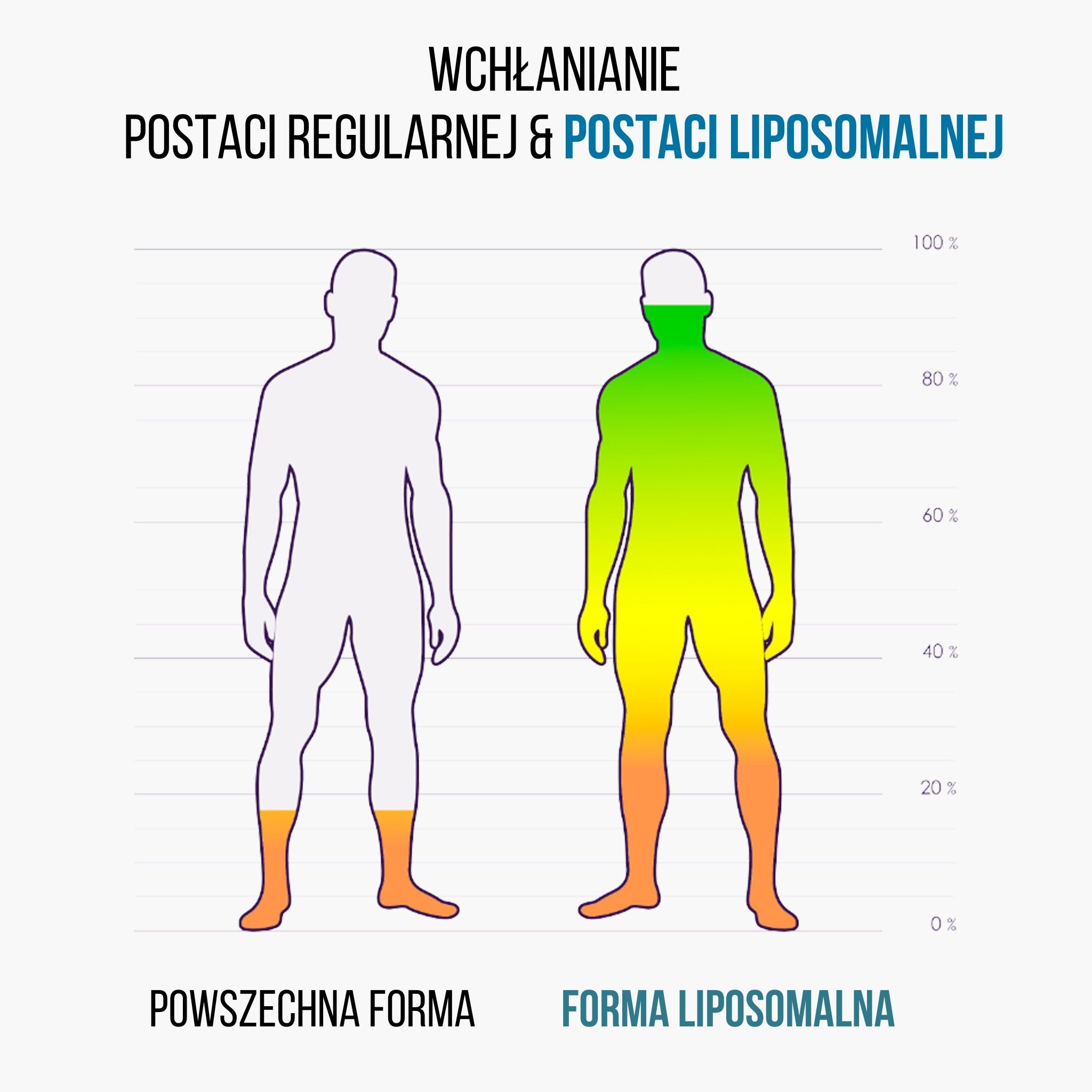 (Polština) - 2024-10-05T142441.515